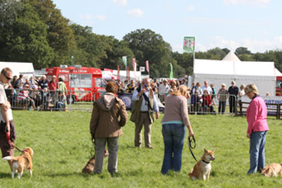 Stan With people from the audience Cranleigh Agricultural show 2011